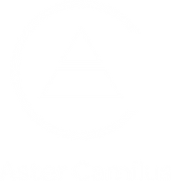 Aster Camilus